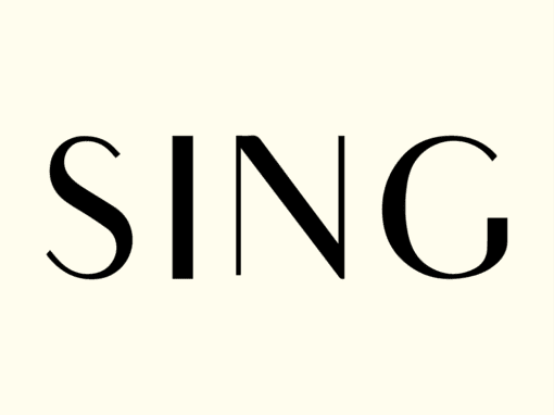 Concept et identité de marque SING